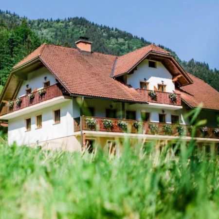 Na Logu - Farm Stay Ambroz Gregorc โซลกาวา ภายนอก รูปภาพ