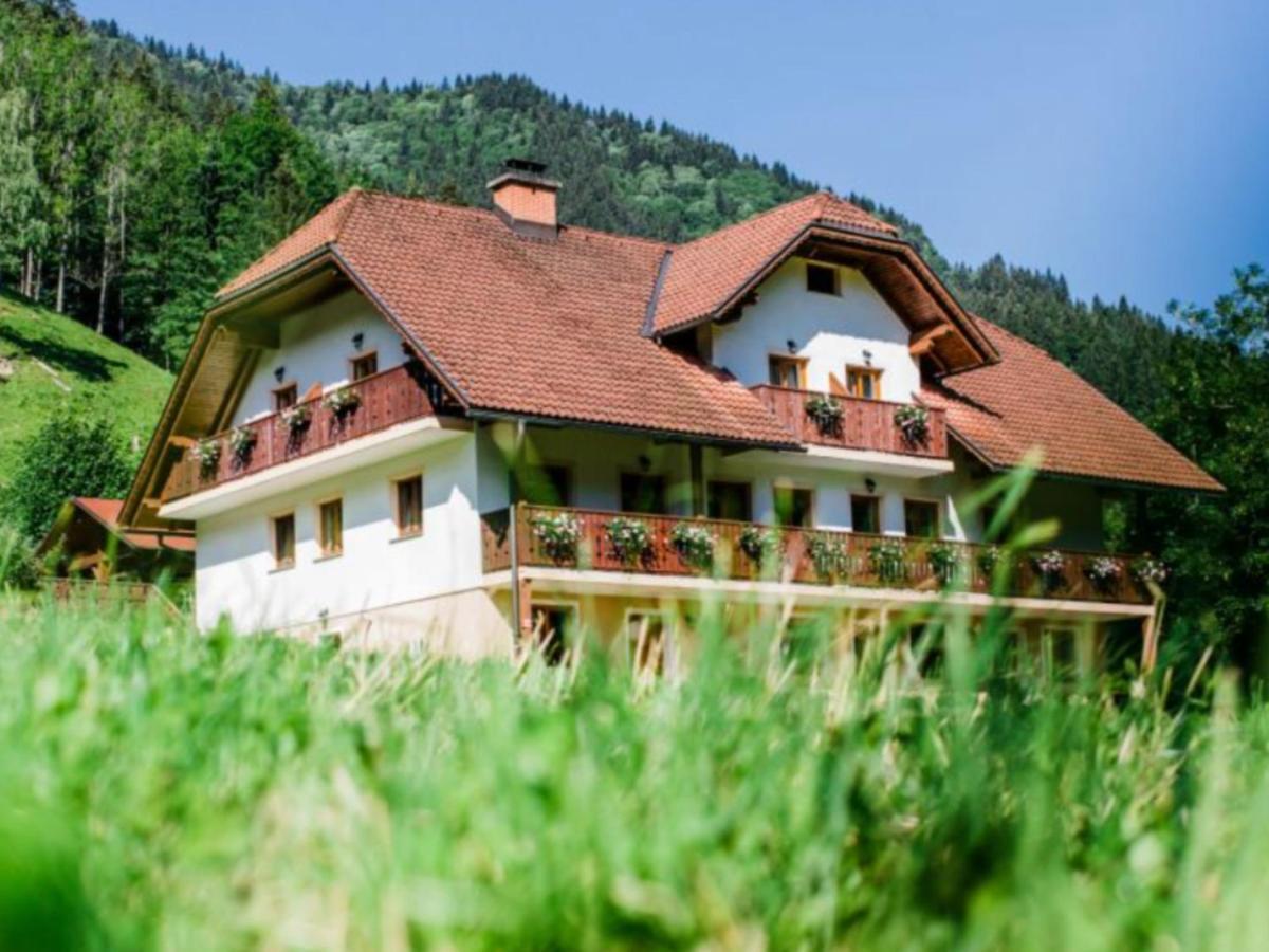 Na Logu - Farm Stay Ambroz Gregorc โซลกาวา ภายนอก รูปภาพ
