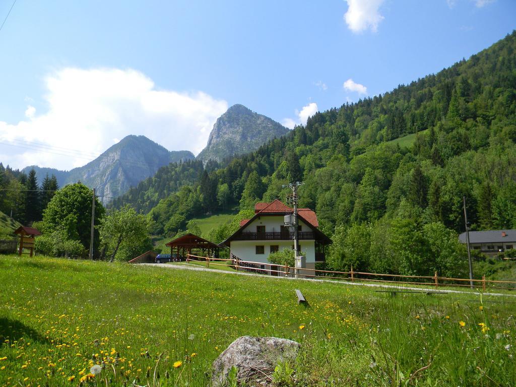 Na Logu - Farm Stay Ambroz Gregorc โซลกาวา ภายนอก รูปภาพ